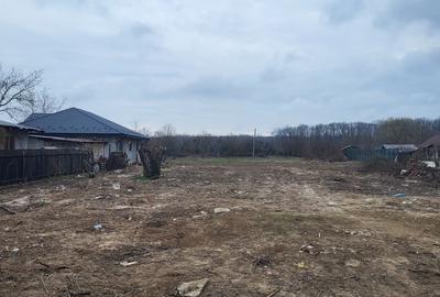 Teren Construcții intravilan de 3556 mp, în Snagov - 2