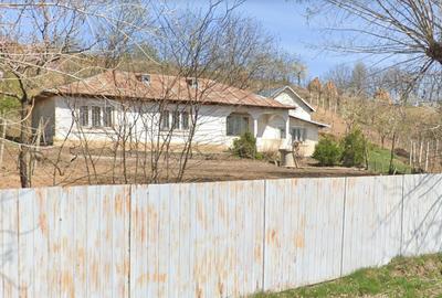 Galati, 1 ha vita de vie si casa 3 cam, pretabil amenajare turism viticol - 2