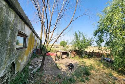 Spațiu comercial, de 600 mp, în Sânandrei - 2