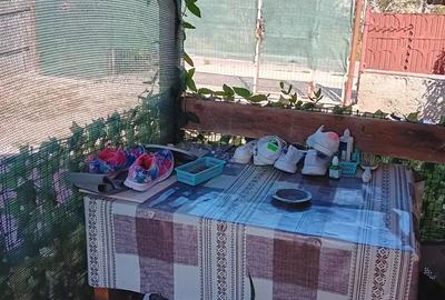 Vand casuta super oferta cite?te bine anun?ul - 9