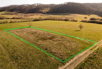 Teren intravilan de 1901 mp, în Betfia - 1