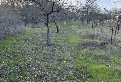 Casă cu 3 camere în Central - 1