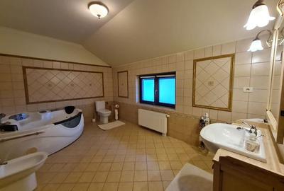 Poziție de top în Dumbravita Poziție de top în Dumbravita - 11