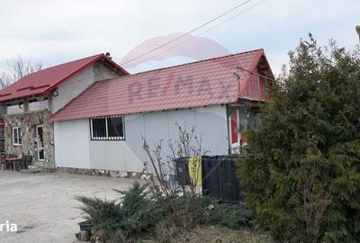 Spațiu comercial, de 150 mp, în Bogdănești - 9