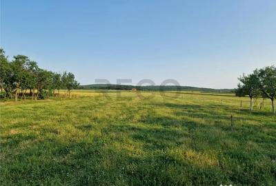 Teren de 500 mp, în Felcheriu - 9