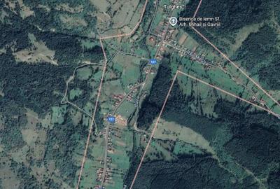 Teren agricol intravilan de 33300 mp, în Tulgheș - 1