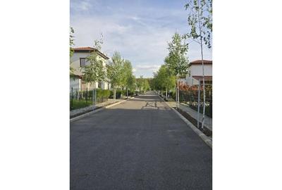 Teren Construcții intravilan de 24107 mp, în Corbeanca - 18