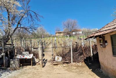 Casă cu 4 camere în Ianca