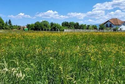 Teren de 5700 mp, în Hărman