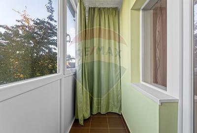 Apartament cu 3 camere de inchiriat - zona Boul Rosu - 8