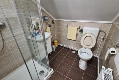 Apartament 2 camere in vila de vanzare in Busteni - 8