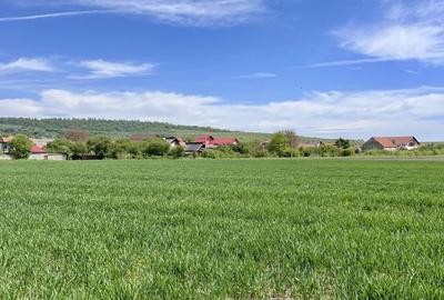 Spațiu comercial, în Tohanu Nou - 11