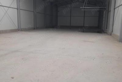 Hala de inchiriat in Caransebes, ideal pentru depozit si spatiu logistic - 4