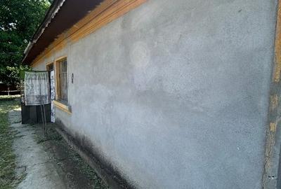 Casă de vânzare, teren 1400mp | Măldăeni, Teleorman - 8