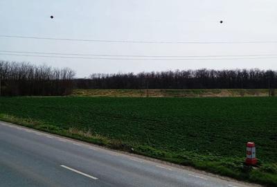 Teren de 5000 mp, în Central - 11