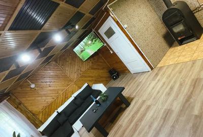 Casa de vacan?a renovata de vanzare in Vlahi?a - 9