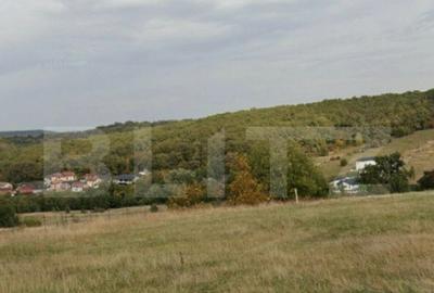 Teren intravilan de vanzare, 15 ari, Zalau - 6