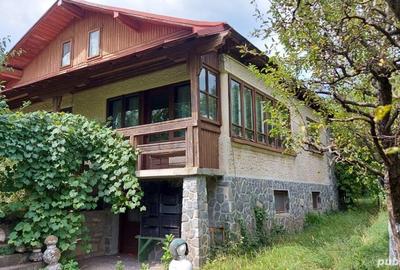 Casă cu 6 camere cu Teren 4500 Mp în Brebu - 5