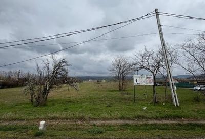 Teren Construcții intravilan de 5000 mp, în Șimian - 2