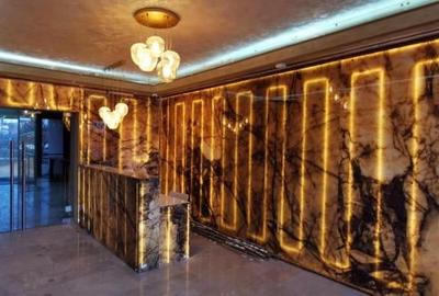 Herastrau Nordului Ap 4 cam lux 260mp Herastrau Nordului Ap 4 cam lux 260mp - 6