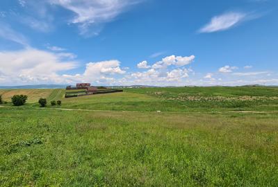 TEREN INTRAVILAN  BOD - 1200 mp pentru constructii case Sp+P+E+M - 2