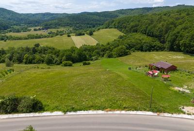 Teren cu potențial turistic în Vulcan BV– vedere panoramică - 16