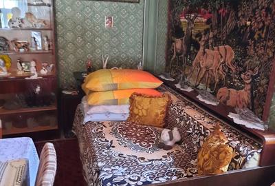 Casa de vanzare in Lapu?nicu Mare - 7