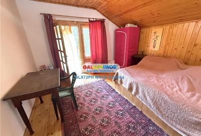 Vanzare Casa/Vila Scorteni Prahova - 12