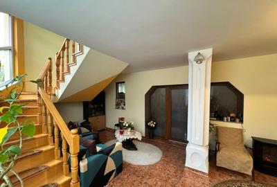 CASA DE VIS SAU AFACERE DE SUCCES BAIA SPRIE - 24