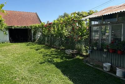 Casă cu 3 camere în Visag - 5