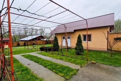 Casa P+M cu 1500 mp teren intravilan in Valea Mare - 6