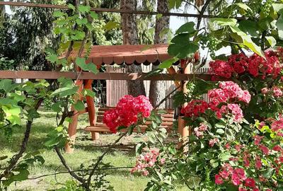 Casă cu Teren 2500 Mp în Telești - 5