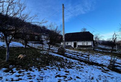 Teren intravilan Simon/Bran, 4318 mp , casuta intabulata, utilitati - 16