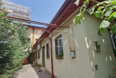 2 case si curte individuala la 400 de metri de statia de metrou Dristor 2 2 case si curte individuala la 400 de metri de statia de metrou Dristor 2 - 47