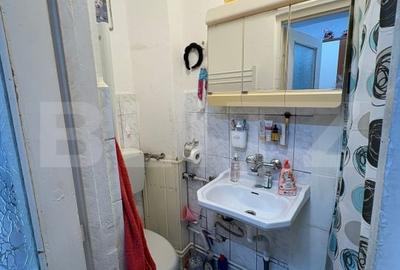 Apartament cu 2 camere, luminos la parter, in zona Țiglari - 5