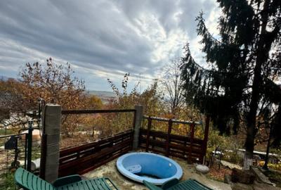 Casă cu 4 camere cu Teren 1527 Mp în Tăuții de Sus - 15