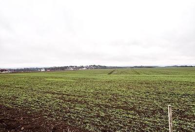 Spațiu comercial, în Central - 1