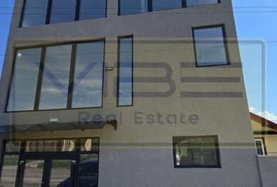 Birou, de 240 mp, în Lunca Cetățuii - 17