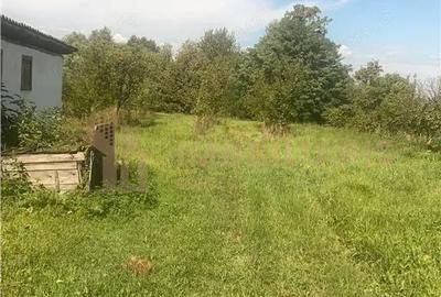 Teren intravilan 80 ari cu posibilitate de parcelare, Ardusat - 3