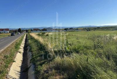 Teren 2500mp Sura Mica - Ocna Sibiului | 162.500 EUR - EXCLUSIVITATE - 2