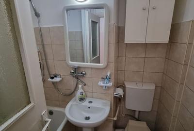 Lapusneanu satul de vacanta-apartament 2 camere ideal investitie - 5