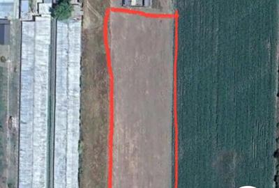 Teren de 4200 mp, în Central - 2