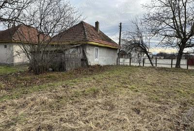 Vand casa 3 camere plus anexa - 3