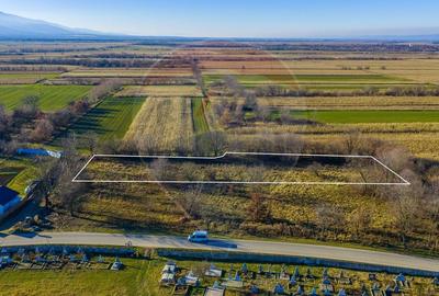 Teren Construcții intravilan de 4200 mp, în Dejani - 3