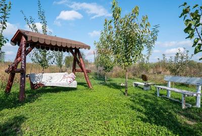 Vanzare vila si spatiu comercial, cu gradina si garaj-zona Corbii Mari - 20