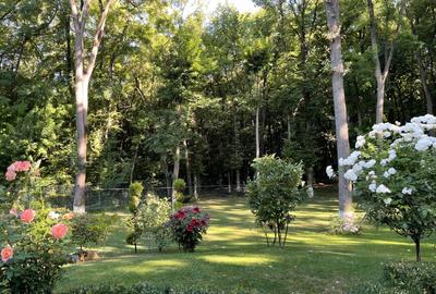 Vila  7 camere iancu nicolae gata de mutare - 4