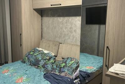 Apartament cu 3 camere decomandat, mobilat în Dacia - 9