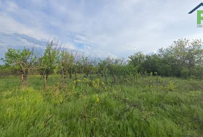 Teren Calarasi, Sarulesti, priveliste lac, 2.200 mp teren, casa 65 mpu - 17