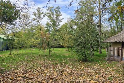 Casă cu 4 camere în Vlad Țepeș - 8