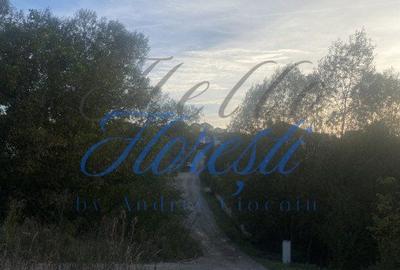 Spațiu comercial, în Dezmir - 1